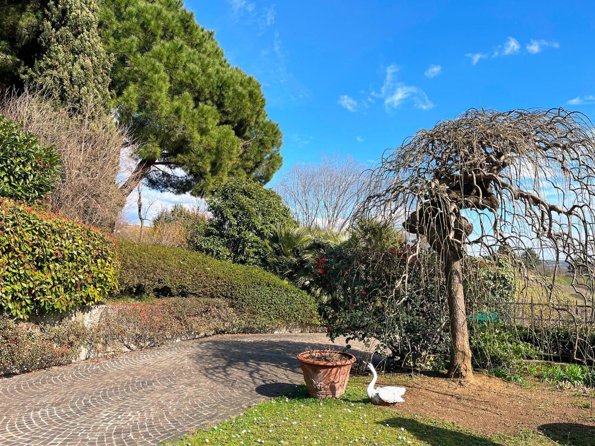 Bed and Breakfast La Collina delle Acacie Grumolo Pedemonte Esterno foto